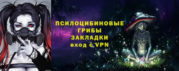 ПСИЛОЦИБИНОВЫЕ ГРИБЫ Новокубанск