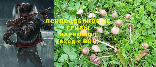 МДПВ Абаза