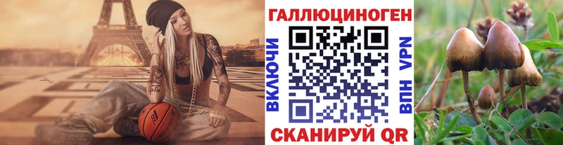 Псилоцибиновые грибы Magic Shrooms  цены наркотик  мориарти состав  Ахтырский 