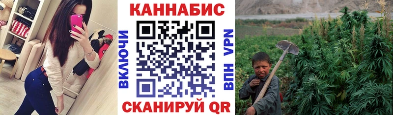Бошки Шишки планчик  где продают   Ахтырский 